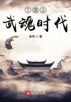 三国之武魂融合系统