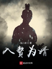 入赘为婿岳风小说