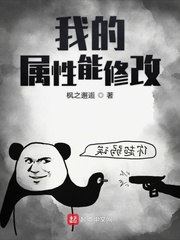 我的属性修改器 小说