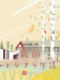 我的1979h