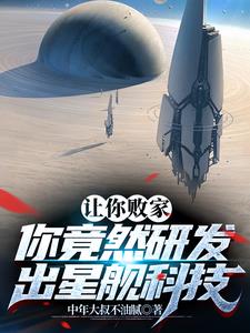 星舰技术水平怎么样