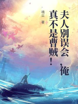 夫人且慢小说阅读