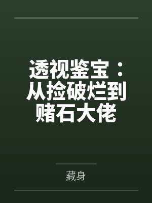 透视鉴宝：从捡破烂到赌石大佬